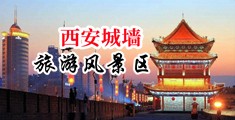 英语老师兔兔水多又大中国陕西-西安城墙旅游风景区